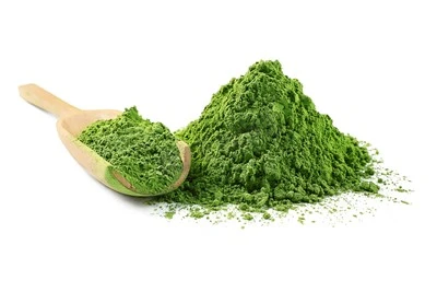 Il Matcha Premium biologico